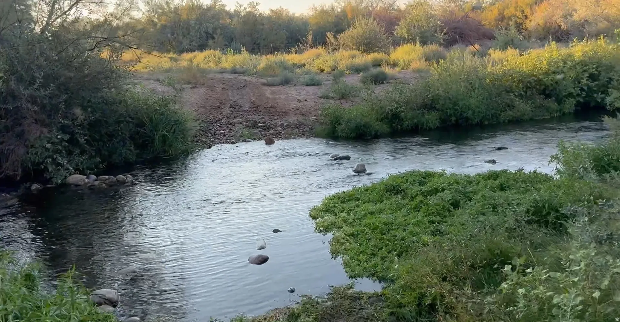 Water view
