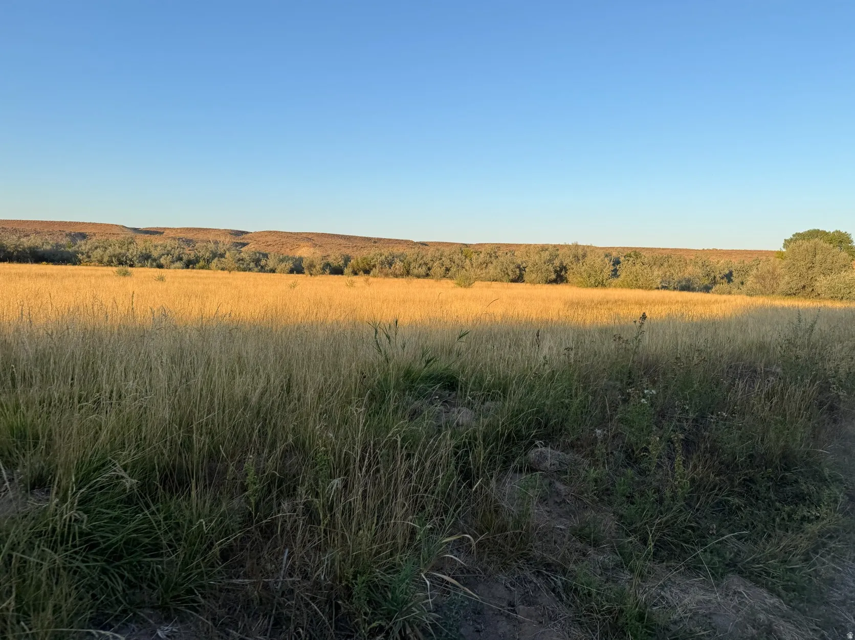 View of nature with rural landscape