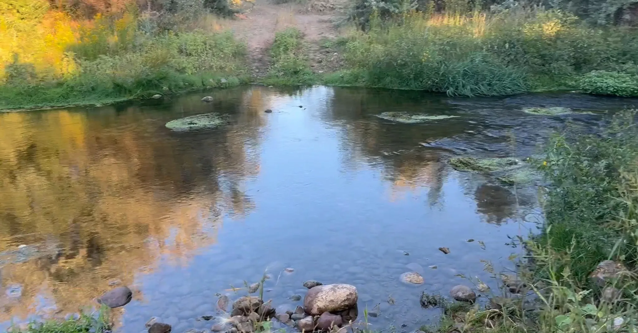Water view