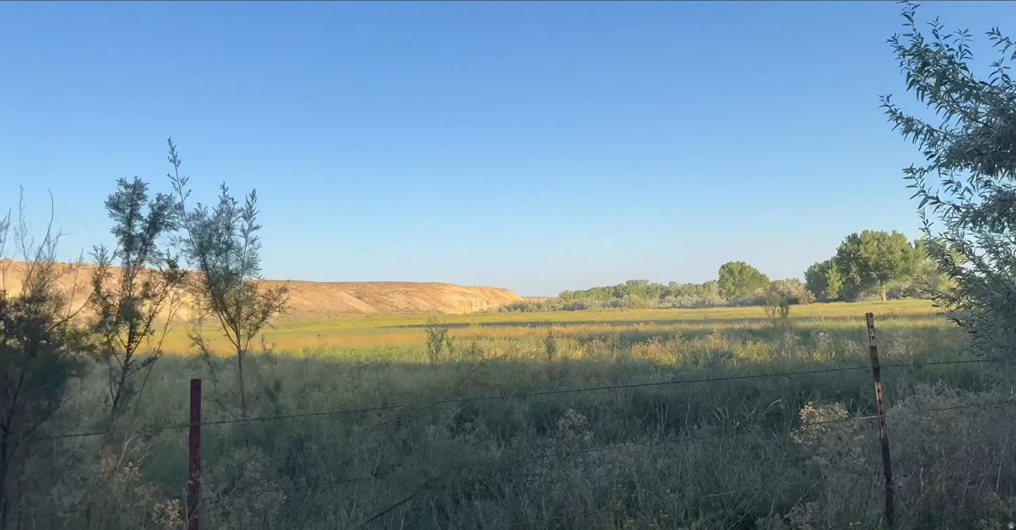 View of yard featuring a view of rural / pastoral area
