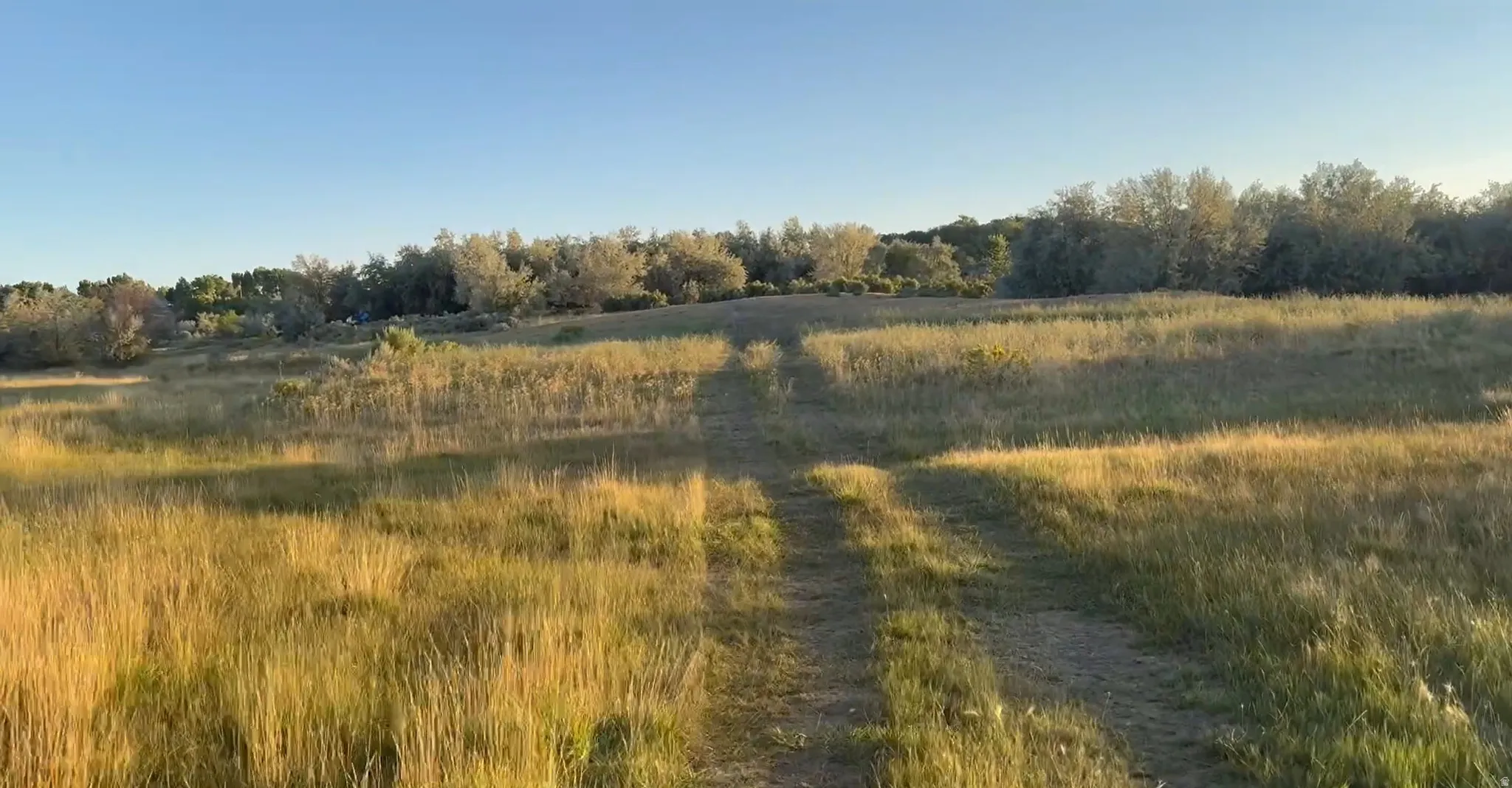 View of woods featuring a rural view