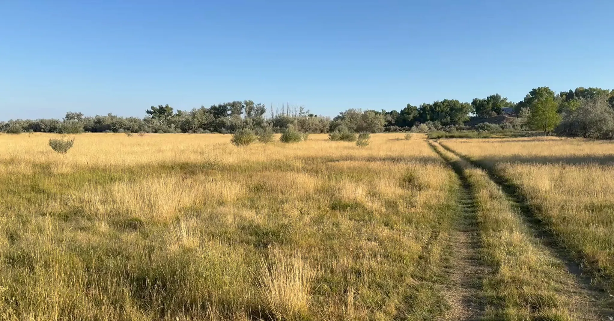 View of local wilderness featuring rural landscape