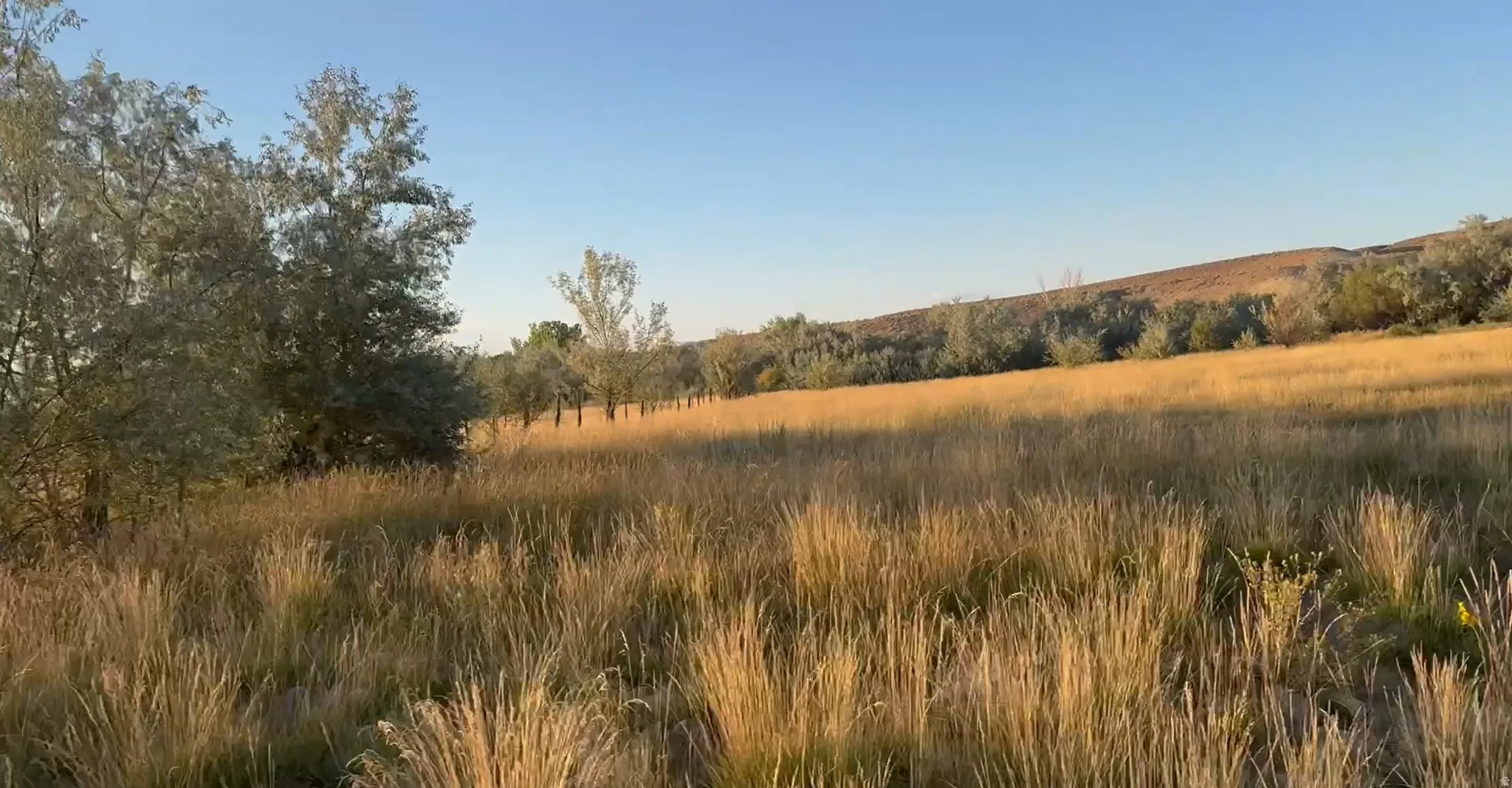 View of nature with rural landscape