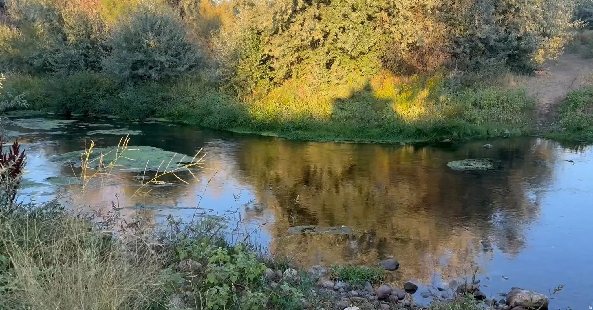 Water view