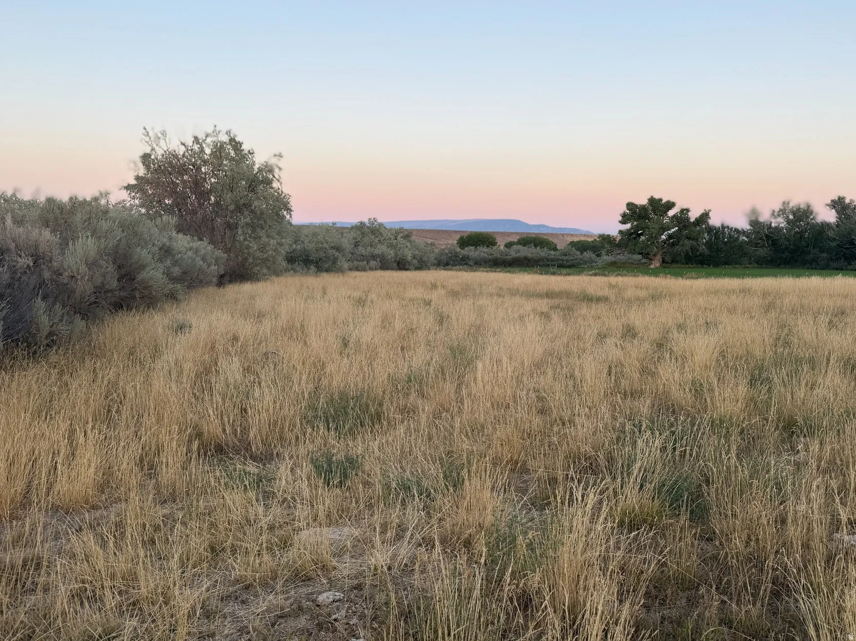 View of local wilderness