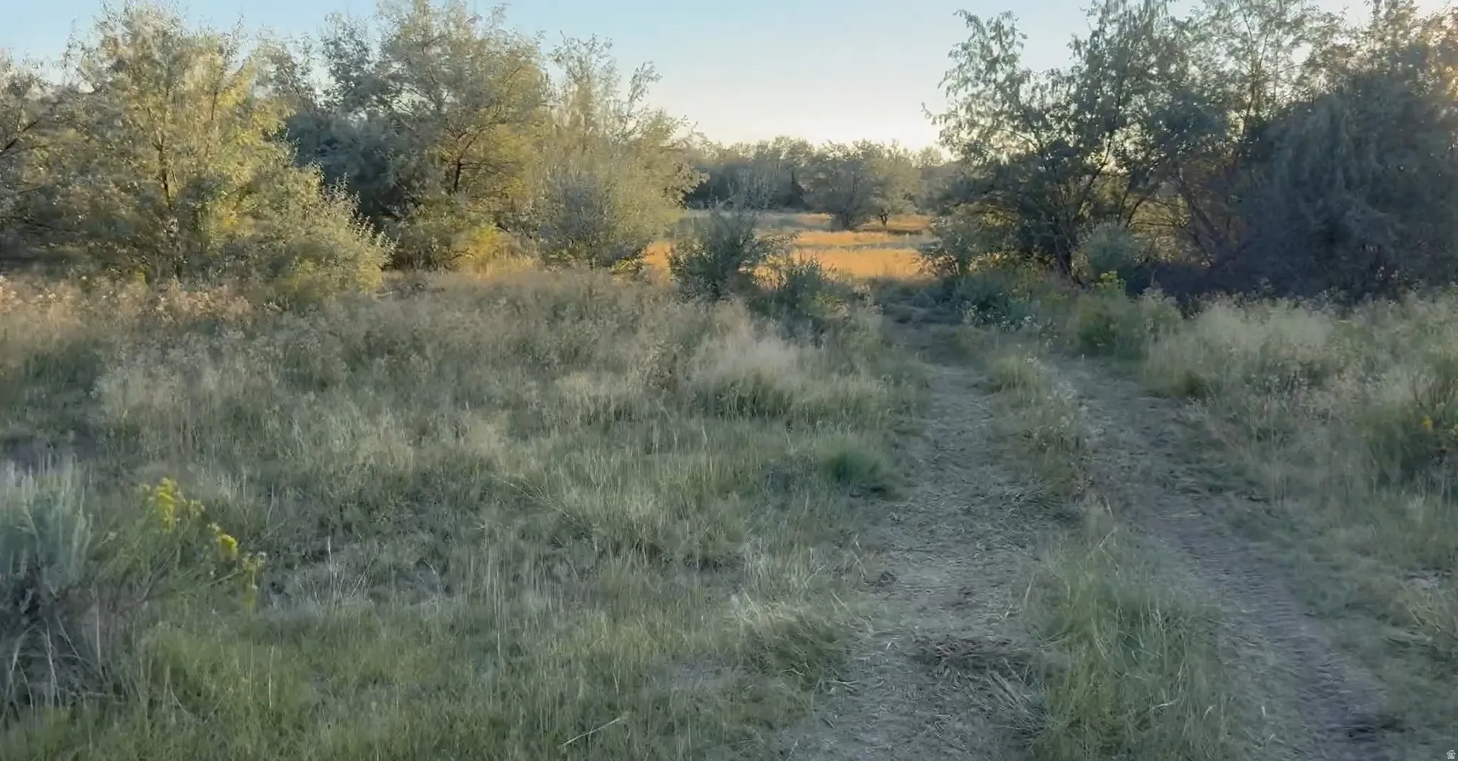 View of nature with rural landscape