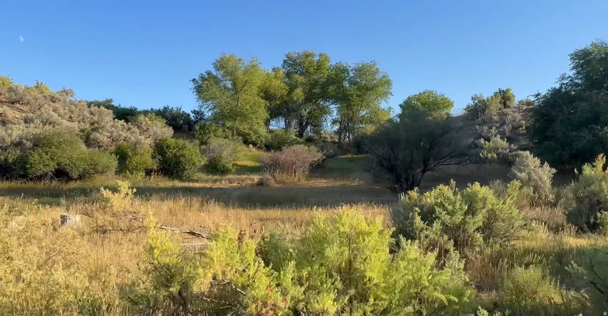 View of woods