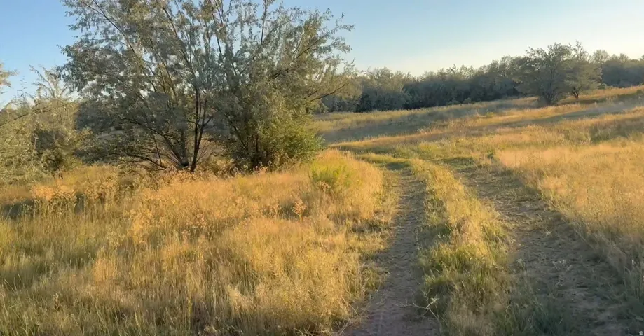 View of nature with rural landscape