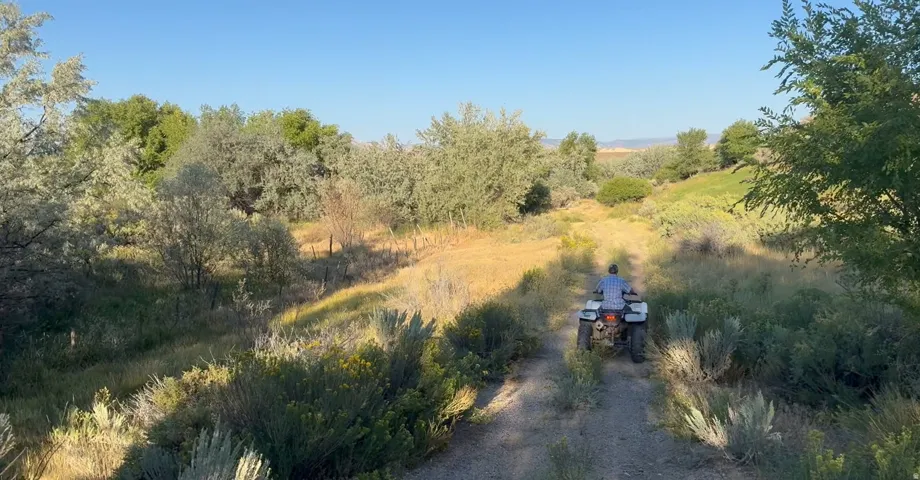 View of road