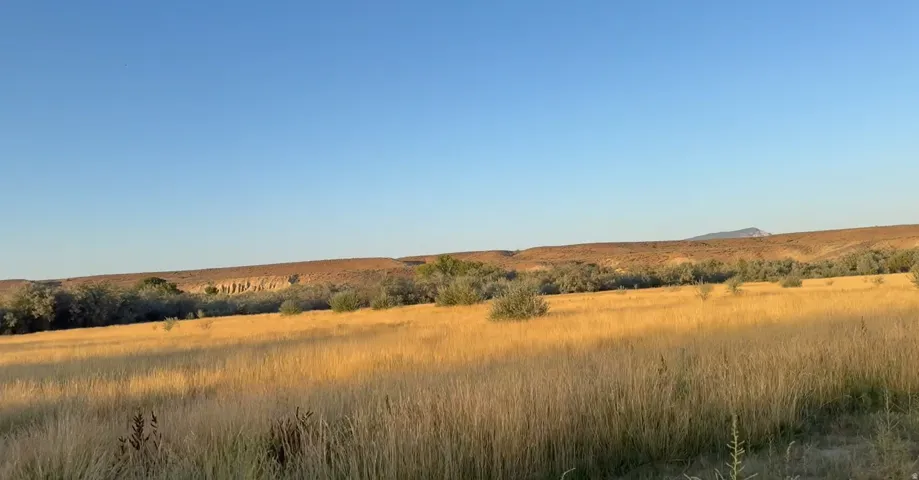 View of undeveloped land featuring rural landscape