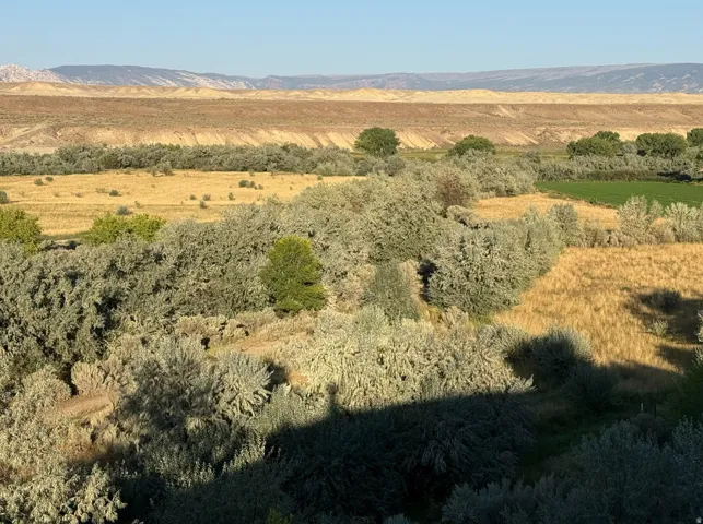 View of mountain backdrop