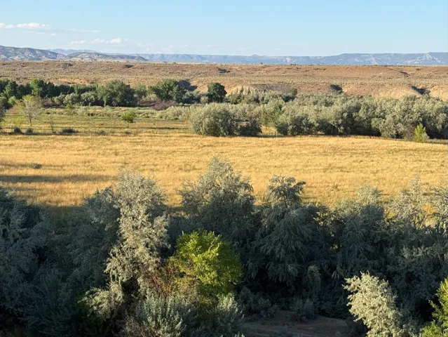 View of local wilderness featuring mountains