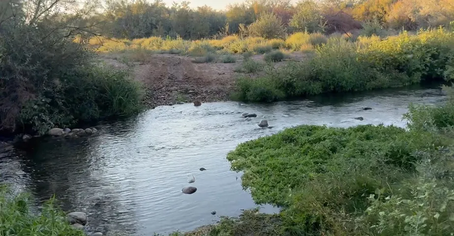 Water view