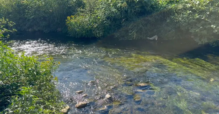 Water view