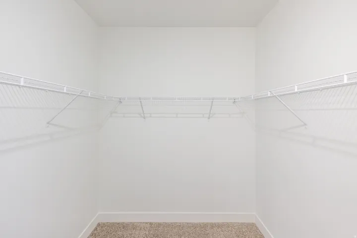Walk-in closet with white wire shelving, light-colored walls, and carpet flooring