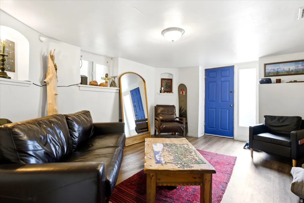 Basement Living Room