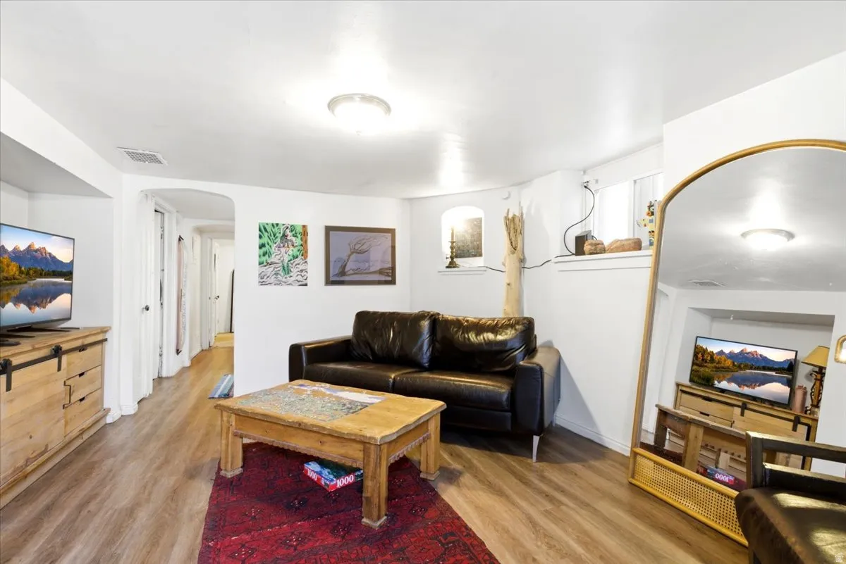 Basement Living Room