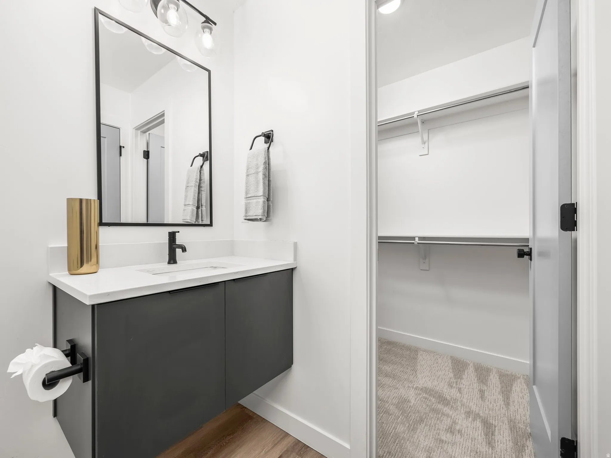 Bathroom with a walk in closet, vanity, and light carpet