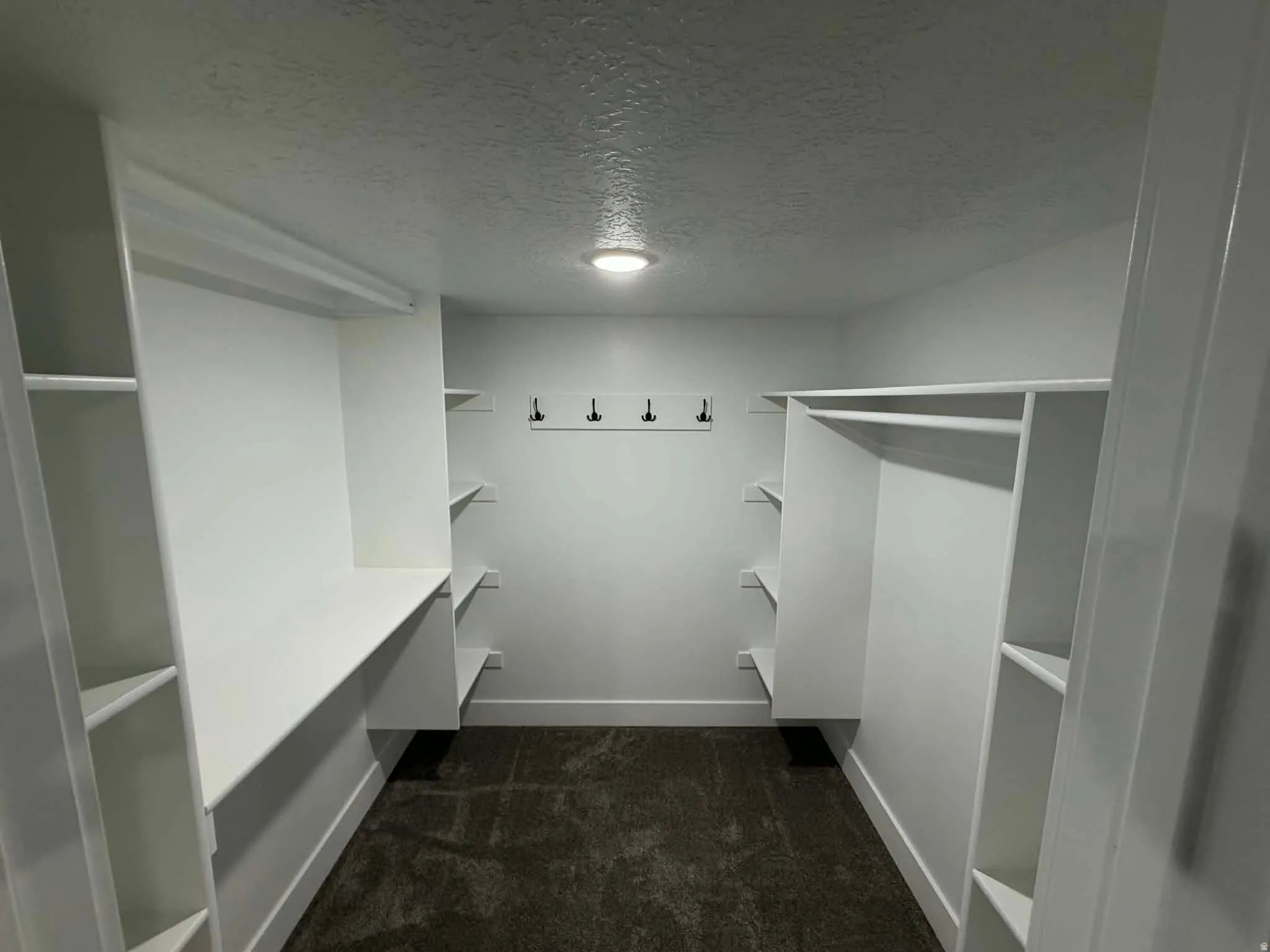 Walk in closet with dark carpet