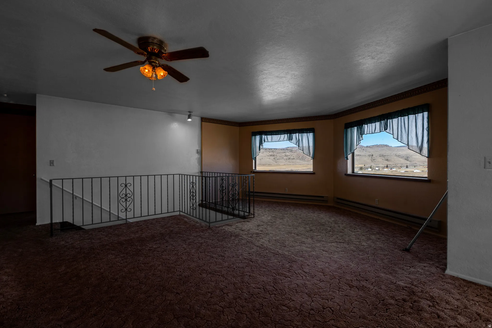 Carpeted empty room with a baseboard radiator and a ceiling fan