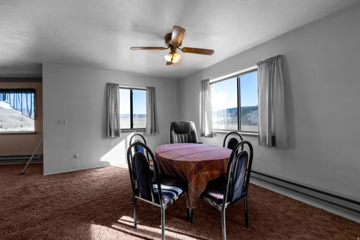 Dining area featuring plenty of natural light, carpet, a baseboard radiator, and ceiling fan