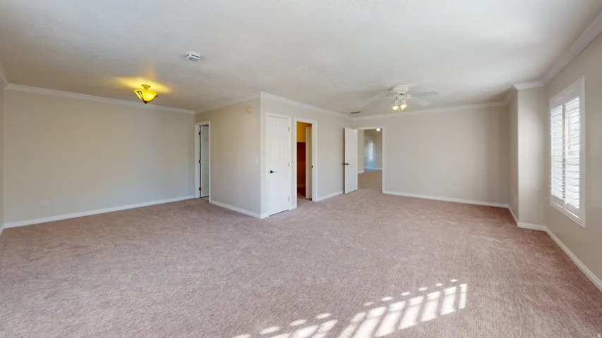 Spare room with light carpet, ornamental molding, and ceiling fan