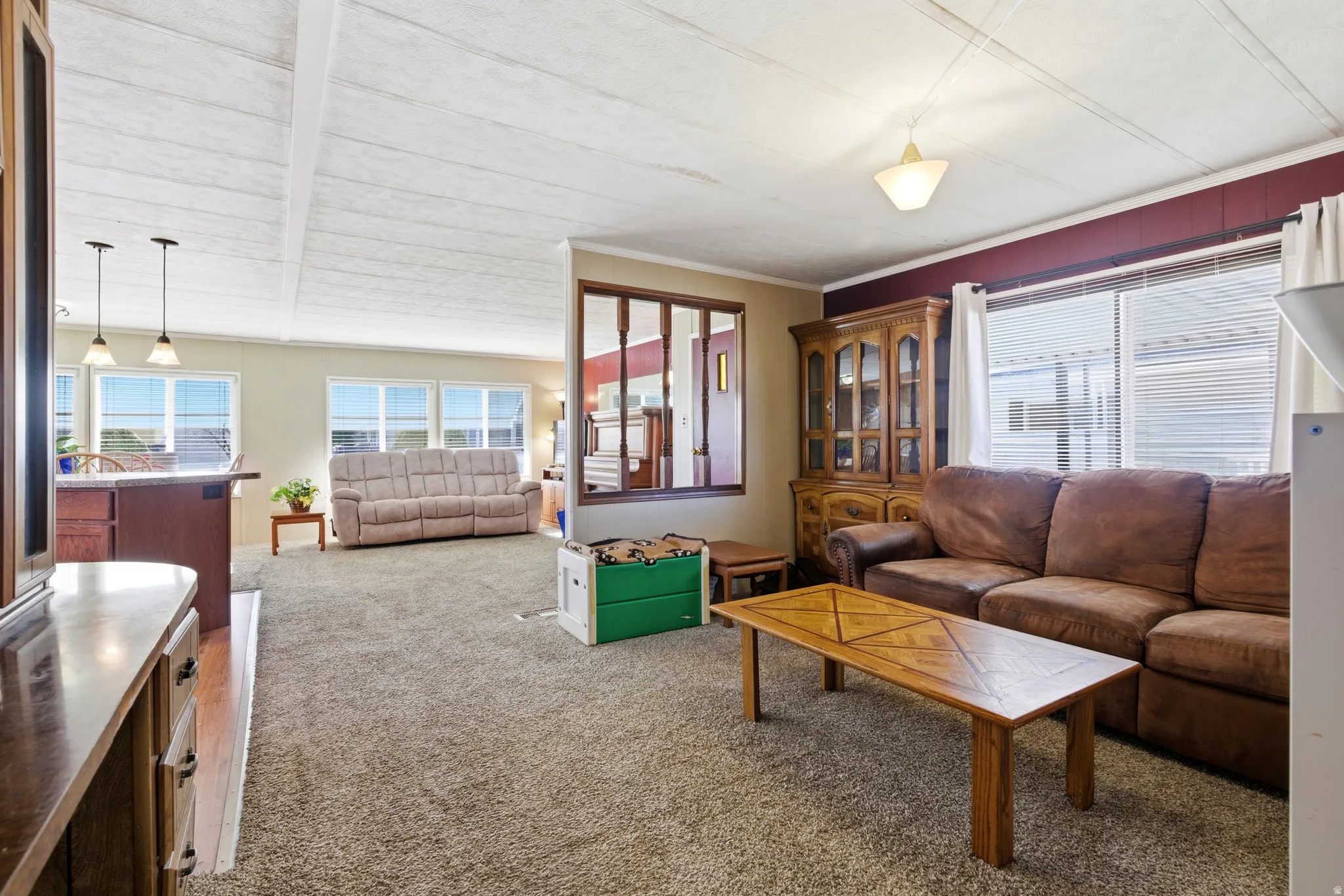 Living room featuring light carpet, plenty of natural light, and crown molding