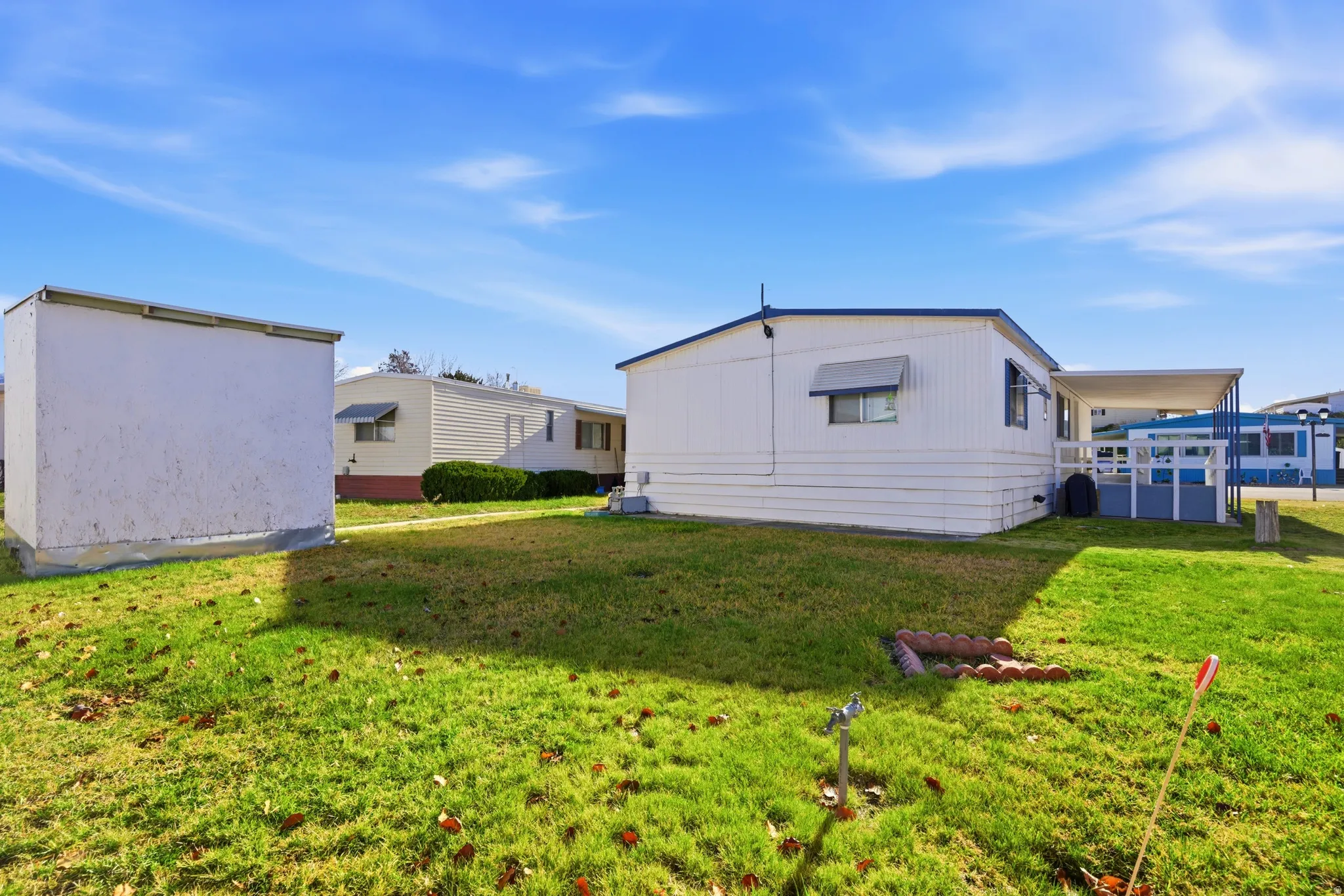 View of grassy yard