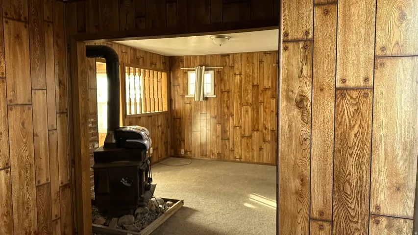 Living area with a wood stove, carpet, and wooden walls