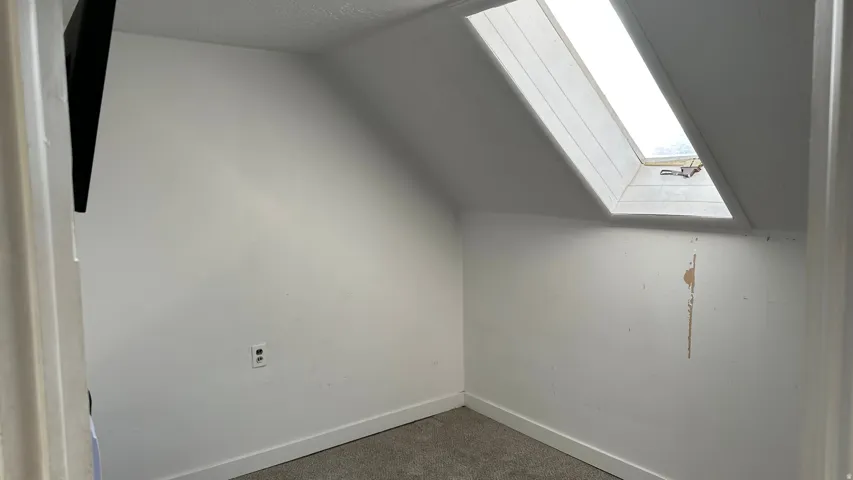 Additional living space featuring a skylight, lofted ceiling, and carpet flooring