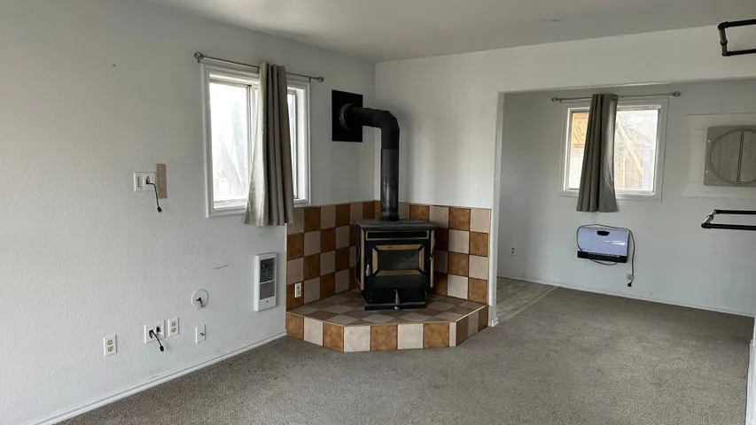 Unfurnished living room with a wood stove, carpet, plenty of natural light, and heating unit