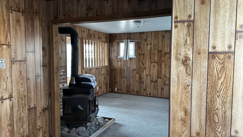 Interior space featuring a wood stove, wood walls, and carpet