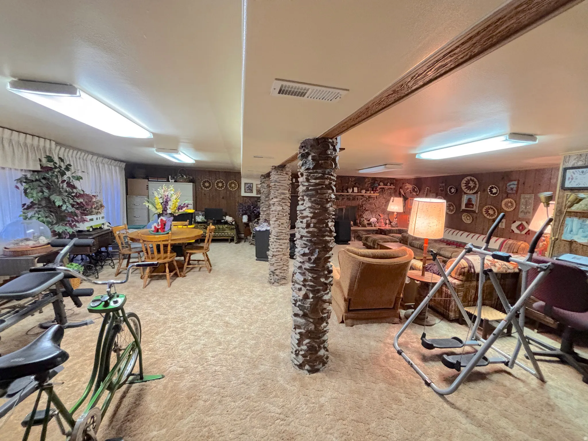 Basement family room