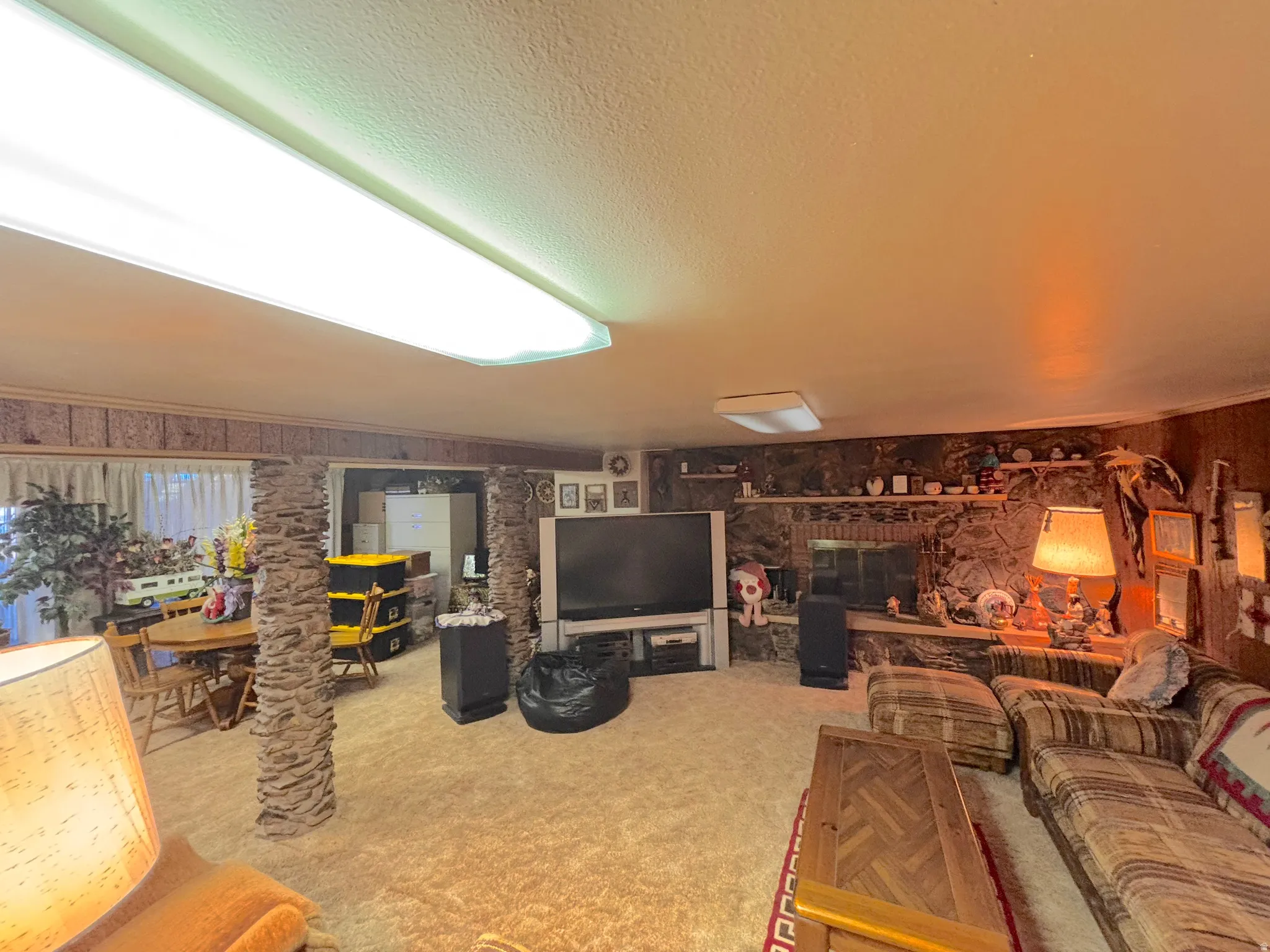 Basement living room