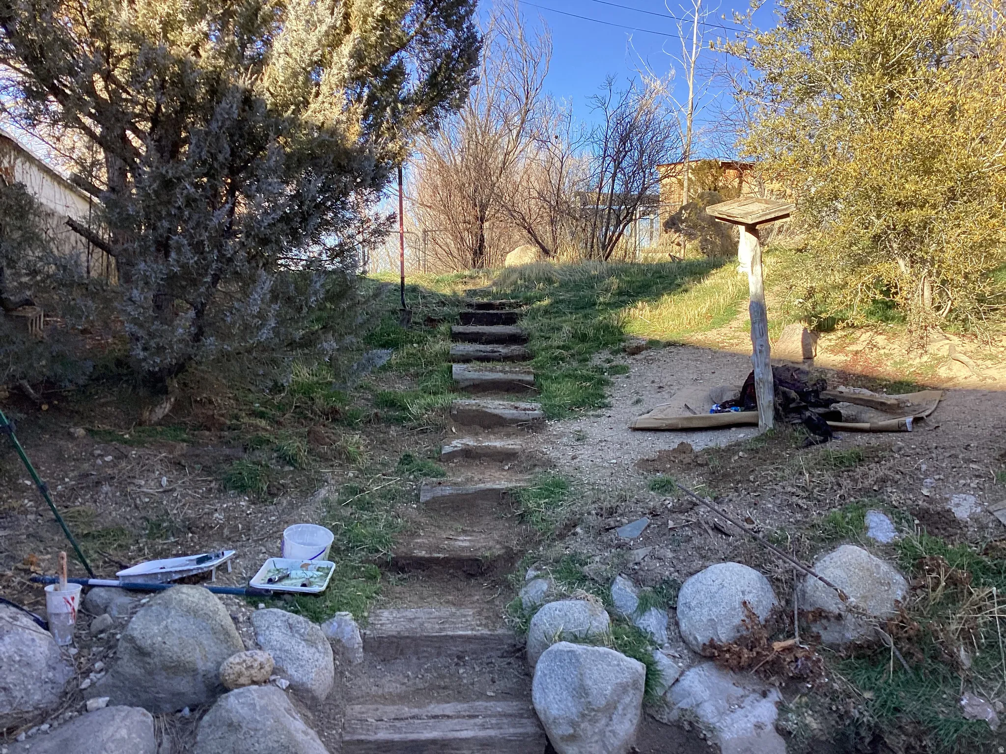 Back yard