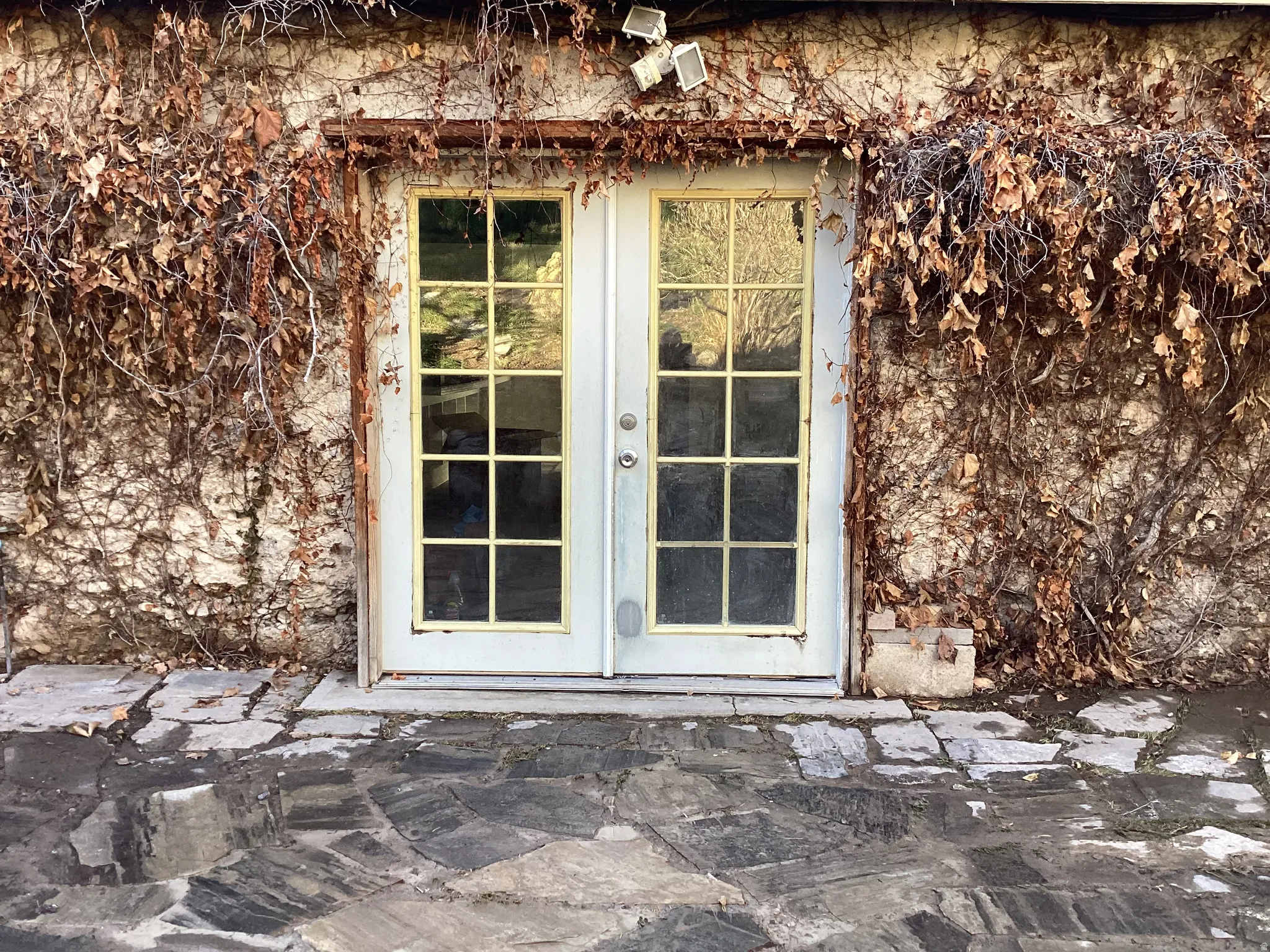 Back Doorway to property with French doors and green vines in the summer