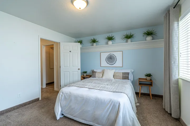 Carpeted bedroom featuring multiple windows