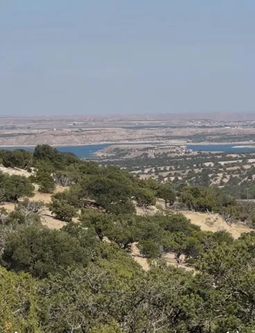 Bird's eye view of a large body of water