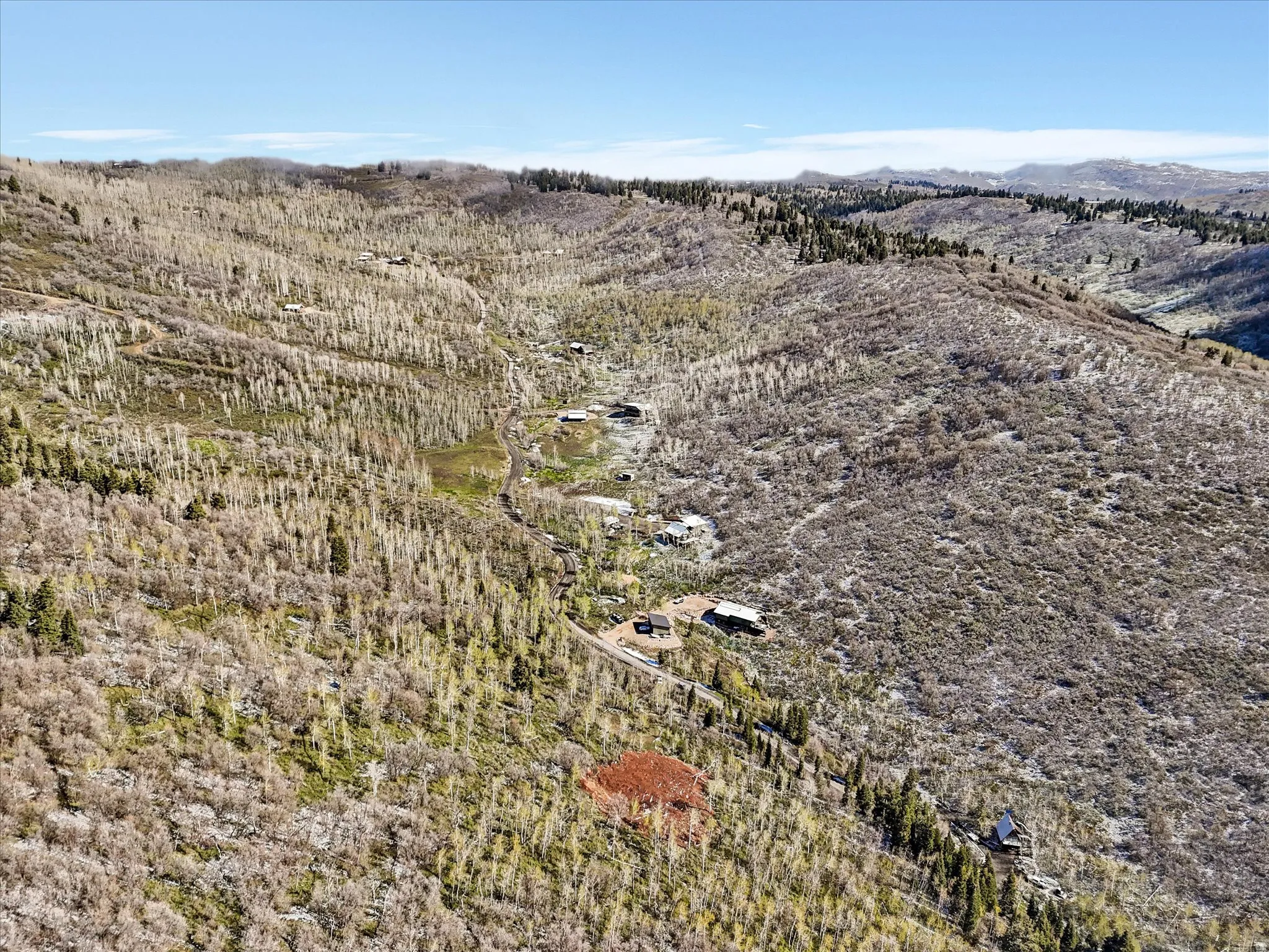 Natural landscape with varied topography and scattered coniferous and deciduous trees, featuring a visible cleared area