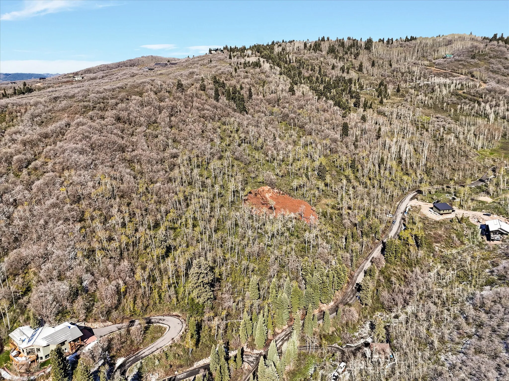 Expansive mountain acreage featuring varied tree coverage and a clear blue sky