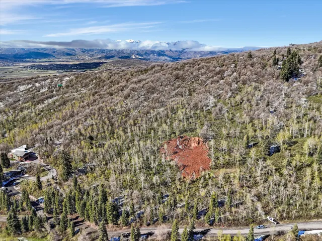 Expansive mountain lot featuring mature trees and a clear building site
