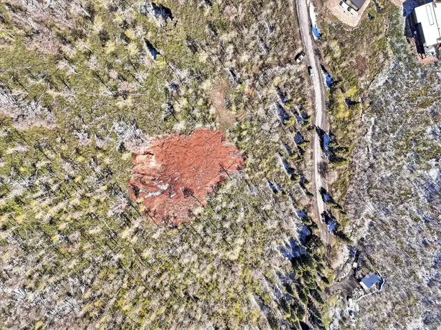 Expansive wooded property featuring a cleared building site with rich red earth