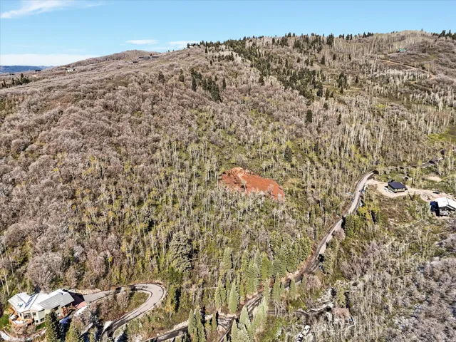 Expansive mountain acreage featuring varied tree coverage and a clear blue sky