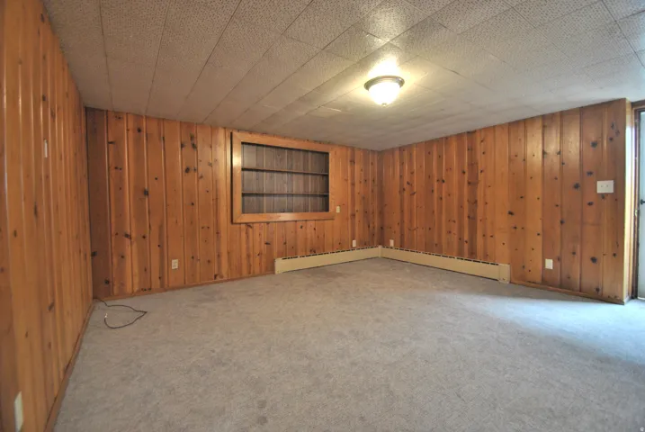 Basement featuring wood walls, carpet flooring, and a baseboard heating unit