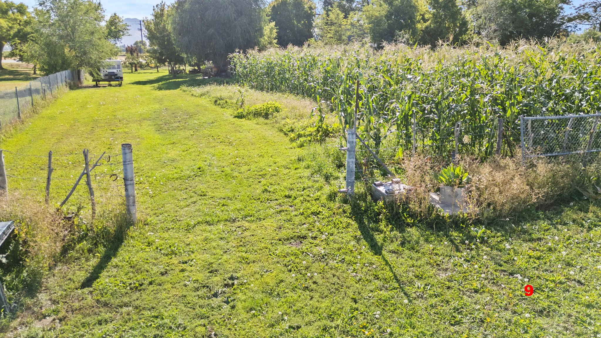View of yard with a view of rural / pastoral area