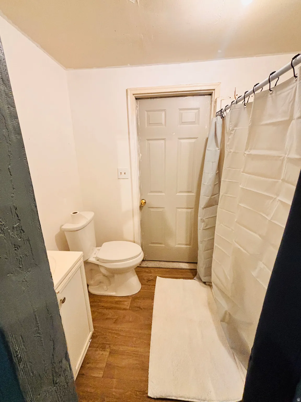 Wood-finish flooring with a flush-mount toilet, white vanity with integrated sink, and paneled door