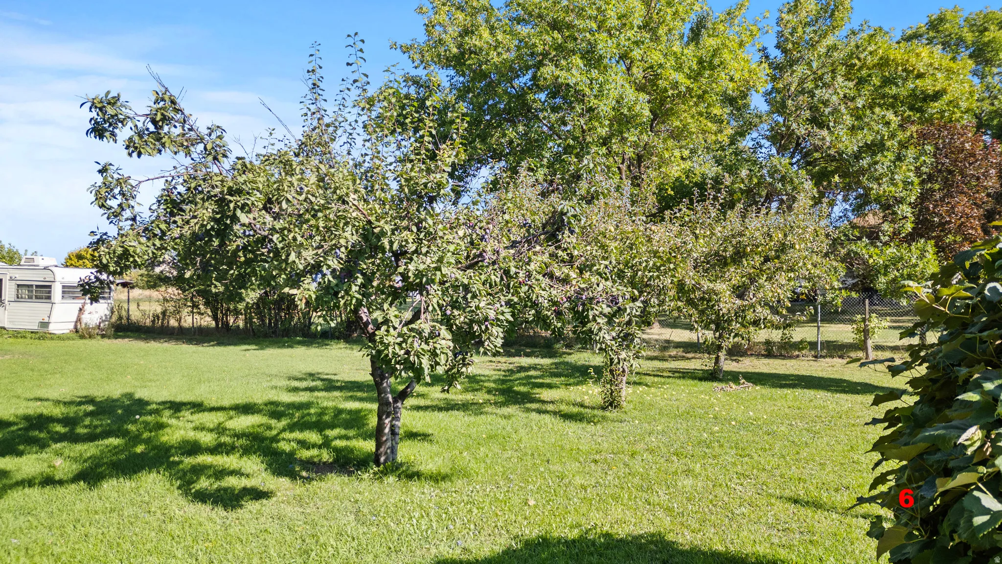 View of grassy yard with a view of rural / pastoral area