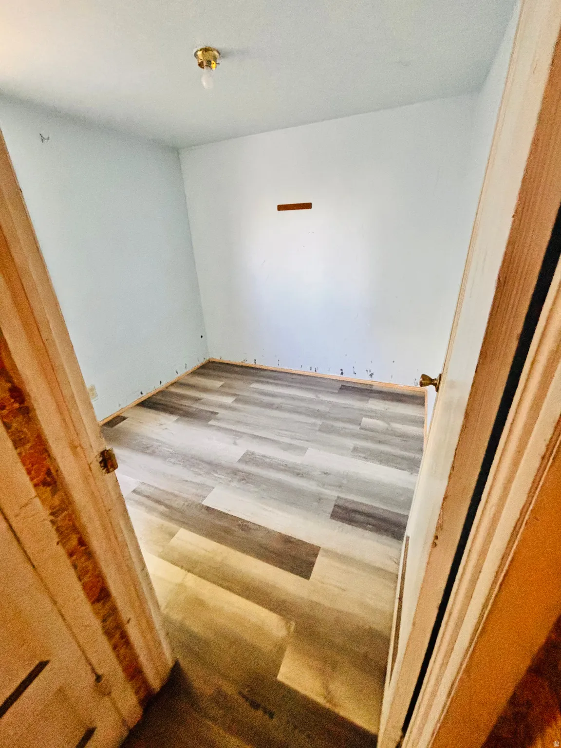 Wood-finish flooring throughout, with a ceiling-mounted light fixture
