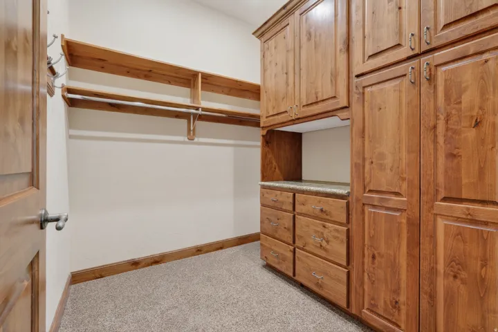 Spacious closet featuring light carpet