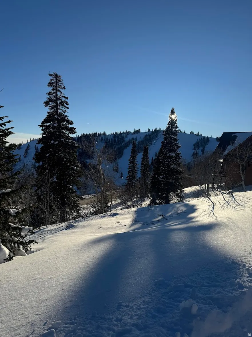 View of mountain backdrop